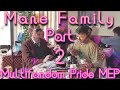 Mane family multifandom pride mep  part 2  for faith