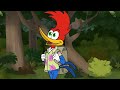 Il est temps de faire une aventure  woody woodpecker  wildbrain en francais