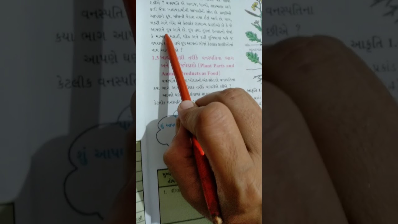 Std 6 Gujarati Medium lecture of Science YouTube