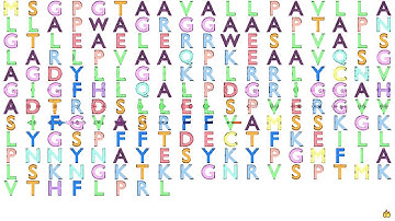 Gene Music Using Protein Sequence of FGF4 "FIBROBLAST GROWTH FACTOR 4"