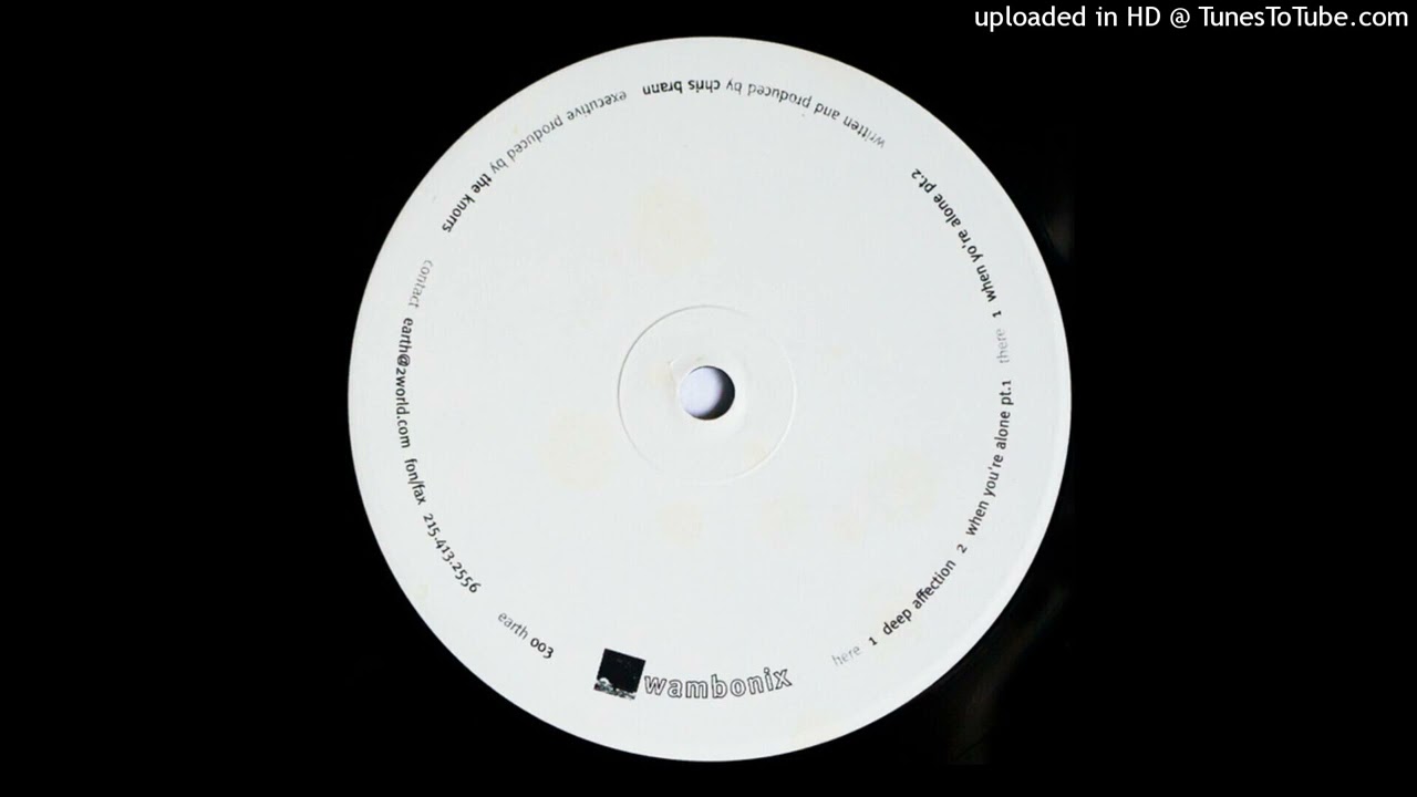 Wambonix - When You're Alone (Pt.2)