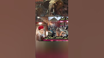 سورة الفيل بصوت القارئ محمد الجلالي تلاوة خاشعة.        ،♥️👍.                #سورةالفيل
