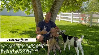 3 Major Health Challenges to Look Out for when Bringing Home Your New Baby Goats