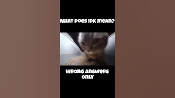 What does IDK mean?(Wrong answers only) #idk #wrong #answer #chipichipichapa #cat #viral #shorts