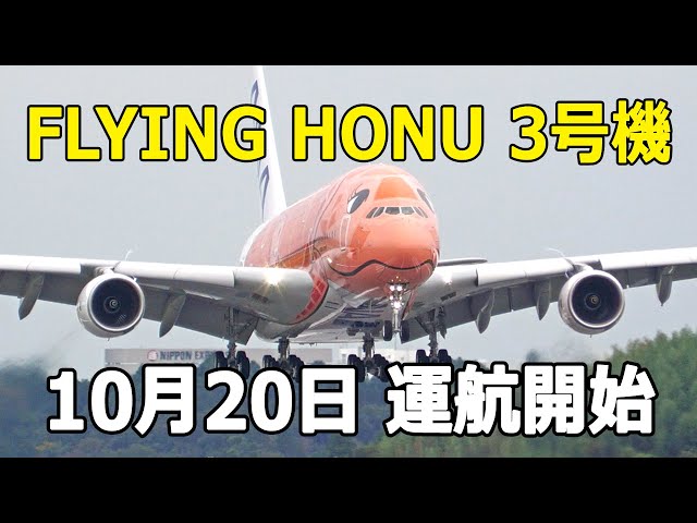 ［新品・未開封］ANA  A380 FLYING HONU［3号機］ Amazon | ANA AIRBUS A380 FLYING HONUモデル［機内販売限定商品