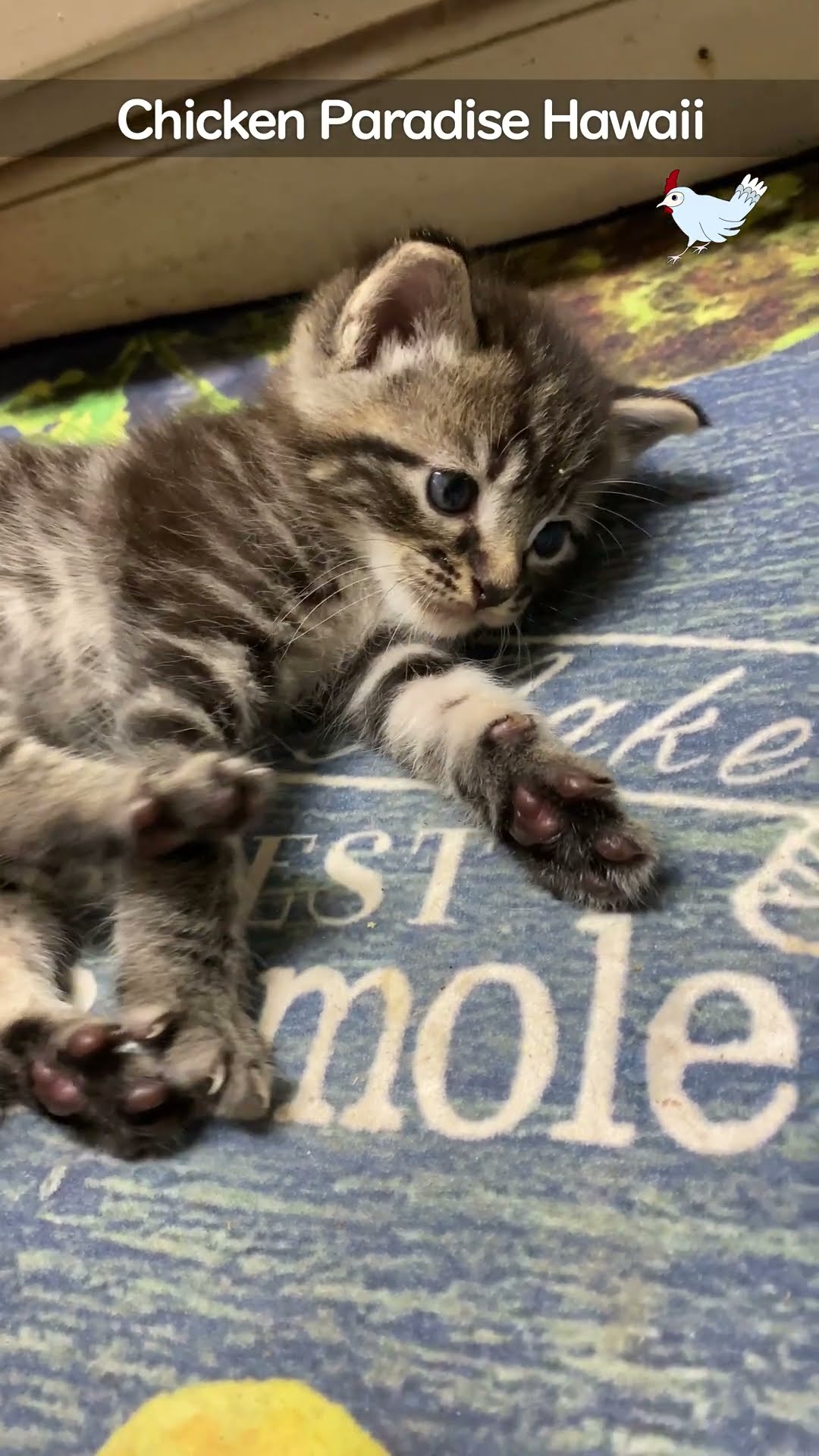 A handful, but so cute