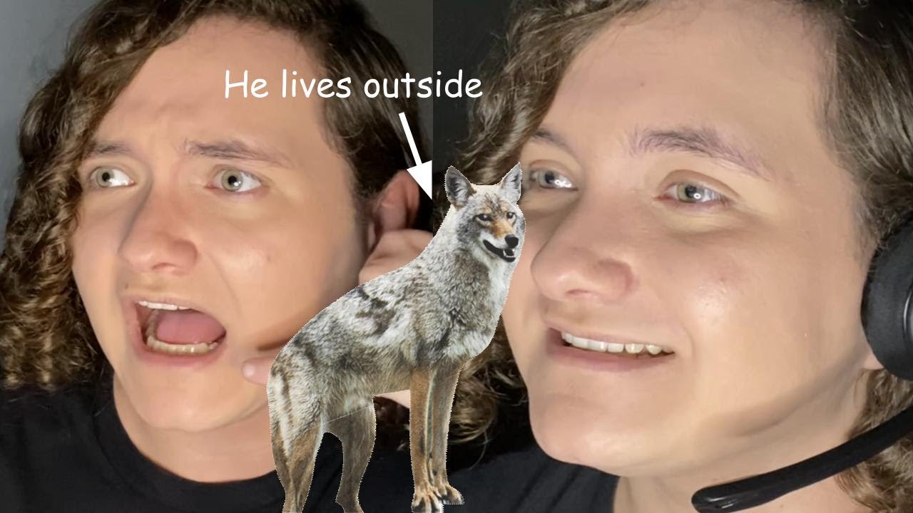 Local man learns that animals live outside YouTube