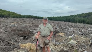 Production Forestry in Northern Maine I - site preparation and planting of white spruce