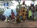 Taraba Fulani PeopleOver 3 000 Displaced Fulani Herdsmen From Taraba Seek Refuge In Cross River Mp4