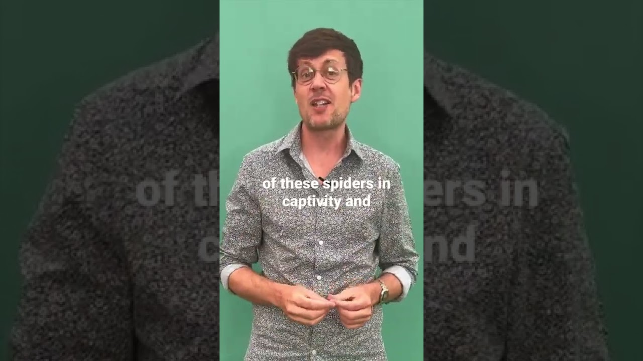 Where did our largest spider come from? Answered by Patrick Barkham 