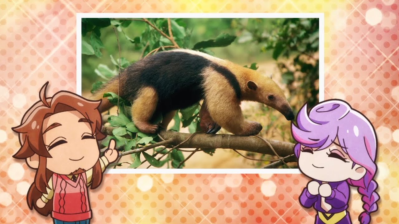 手塚治虫 陽だまりの樹 7 Men 侍 菅田琳寧主演で舞台化 全力を尽くします コミックナタリー Line News