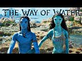 Avatar 2  things to remember before watching avatar the way of water