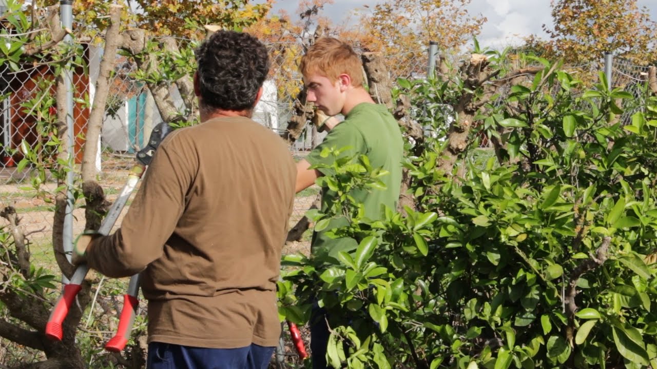 Formación Dual en Jardinería - Esment Escola Professional