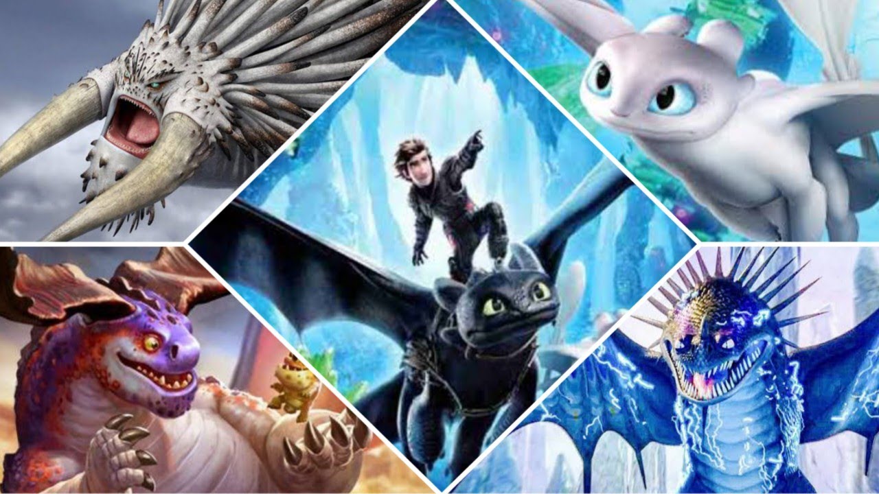 Top 20 Dragons In How To Train Your Dragon