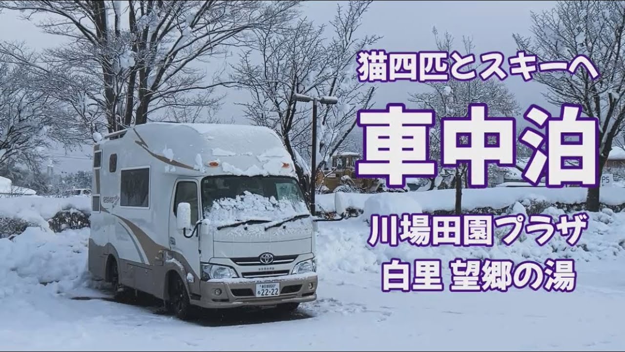 猫四匹とスキーへ 大雪警報の翌日 雪中車中泊　道の駅川場田園プラザ　道の駅白沢　片品高原スキー場