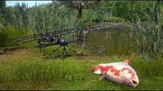 Russian Fishing 4 2024 03 23 янтарное карп фарым