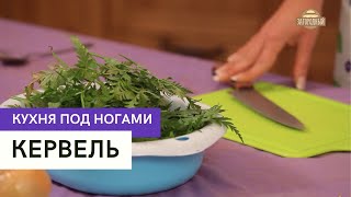 Кервель \ Кухня под ногами