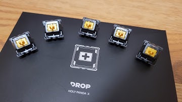 Holy panda x, tactile king?