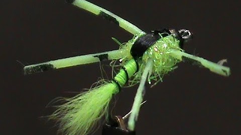 Beginner Fly Tying a Brite Bluegill Nymph with Jim Misiura