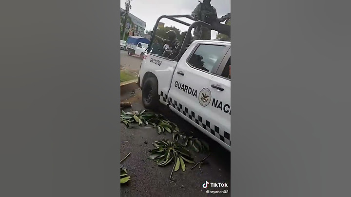 Guardia Nacional MX
