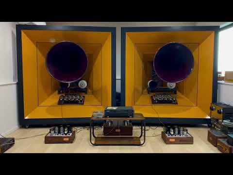 71A drive 300B PP (O.U.D.D.C) with all horn system
