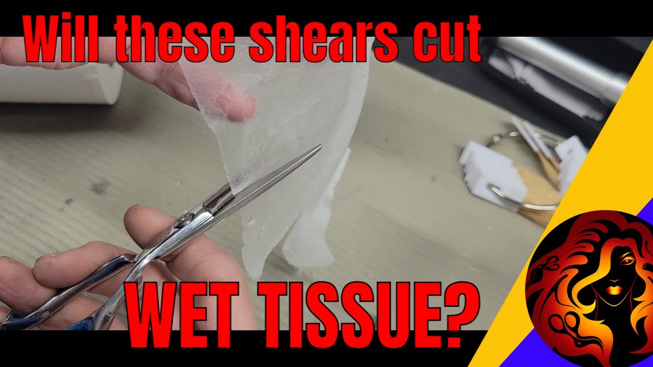 Testing the ISSA Shears - Will 312115 certify? | Bonika Shears