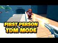 New TDM &amp; First Person Camera Mode!