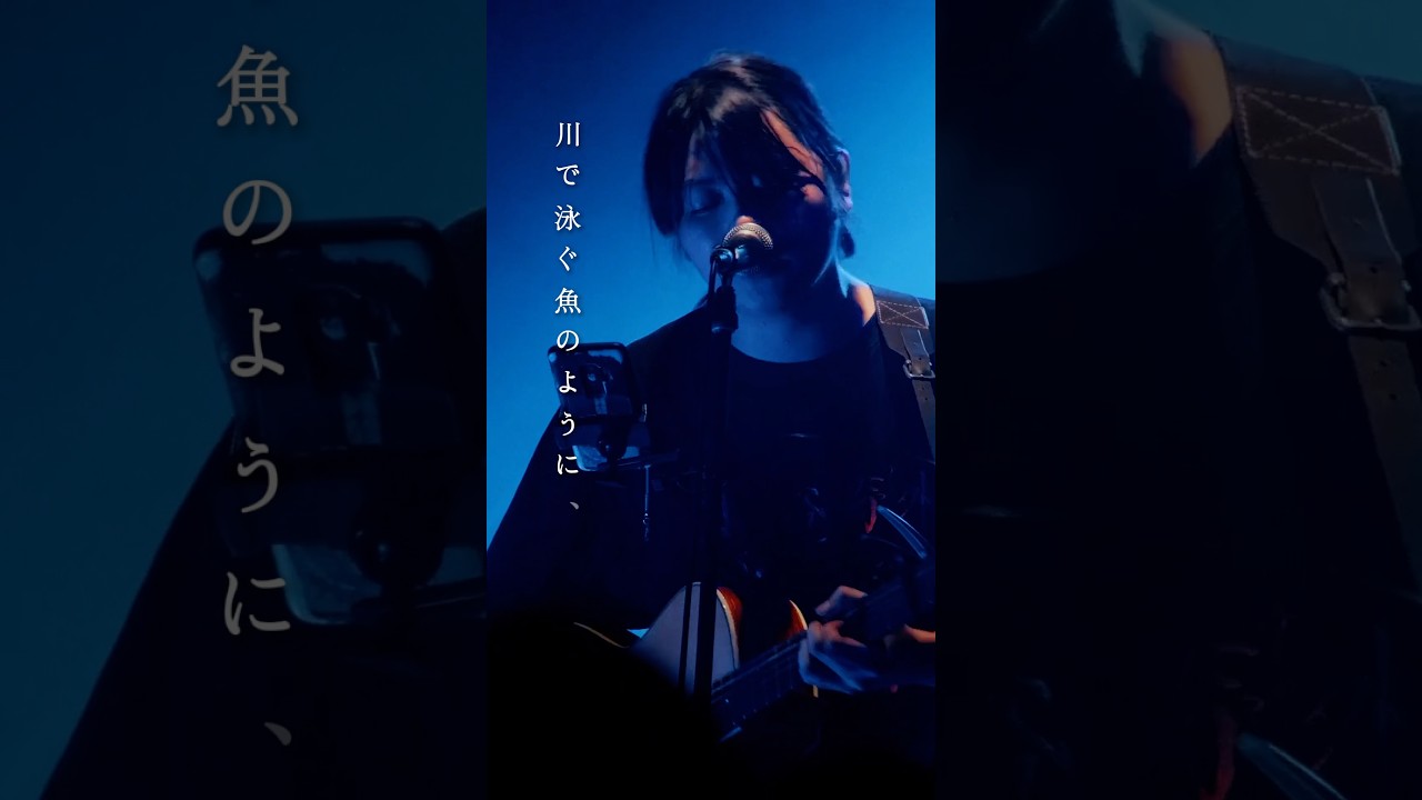 金平糖 / 小林私