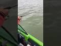 РЕБЕНОК В ШОКЕ! СЕЛА КРУПНАЯ РЫБА!!! Спиннинг NORSTREAM #fishing #рыбалка #norstream
