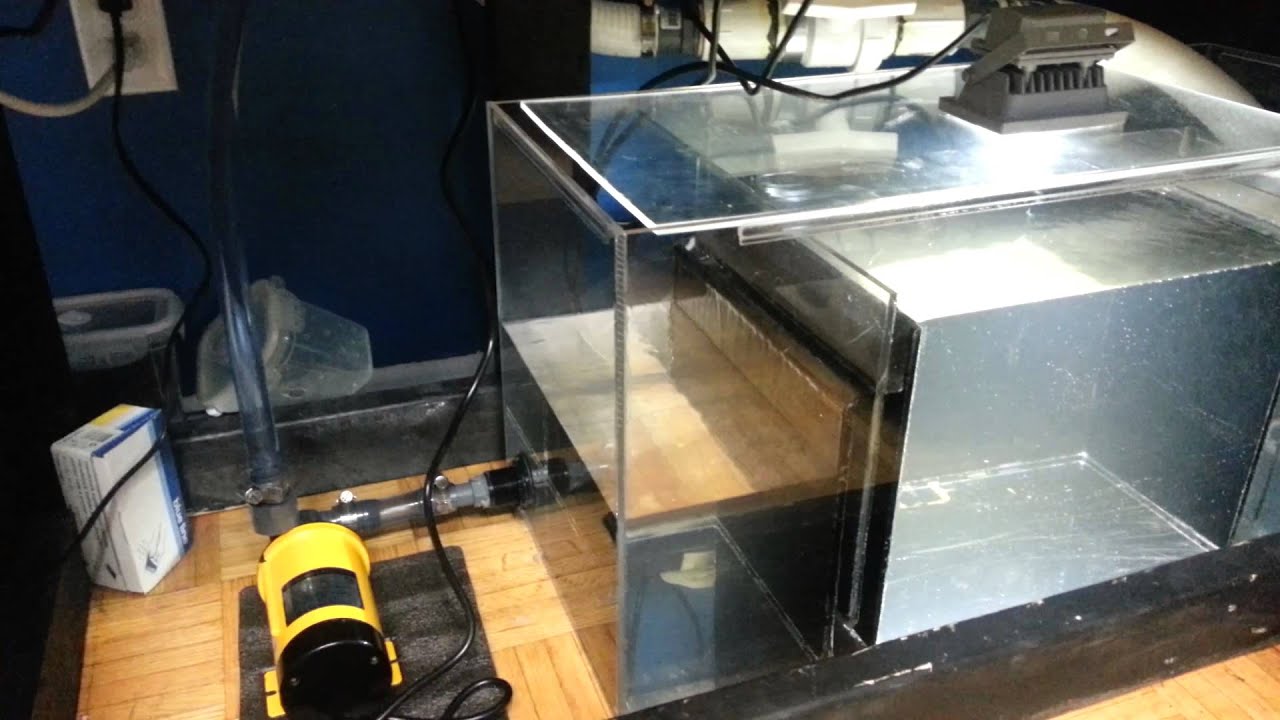 Reef Tank Water Level Test + Adding Salt YouTube