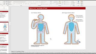 Biological Psychology: Review for Exam 3