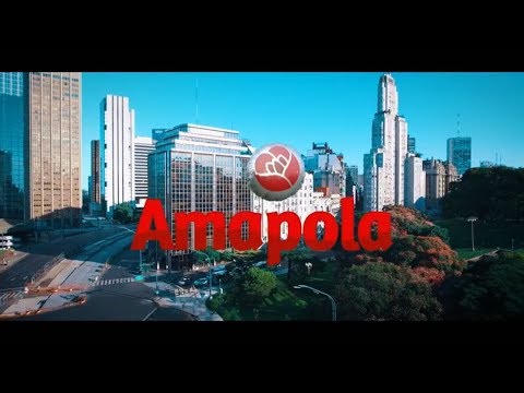 Video de Amapola