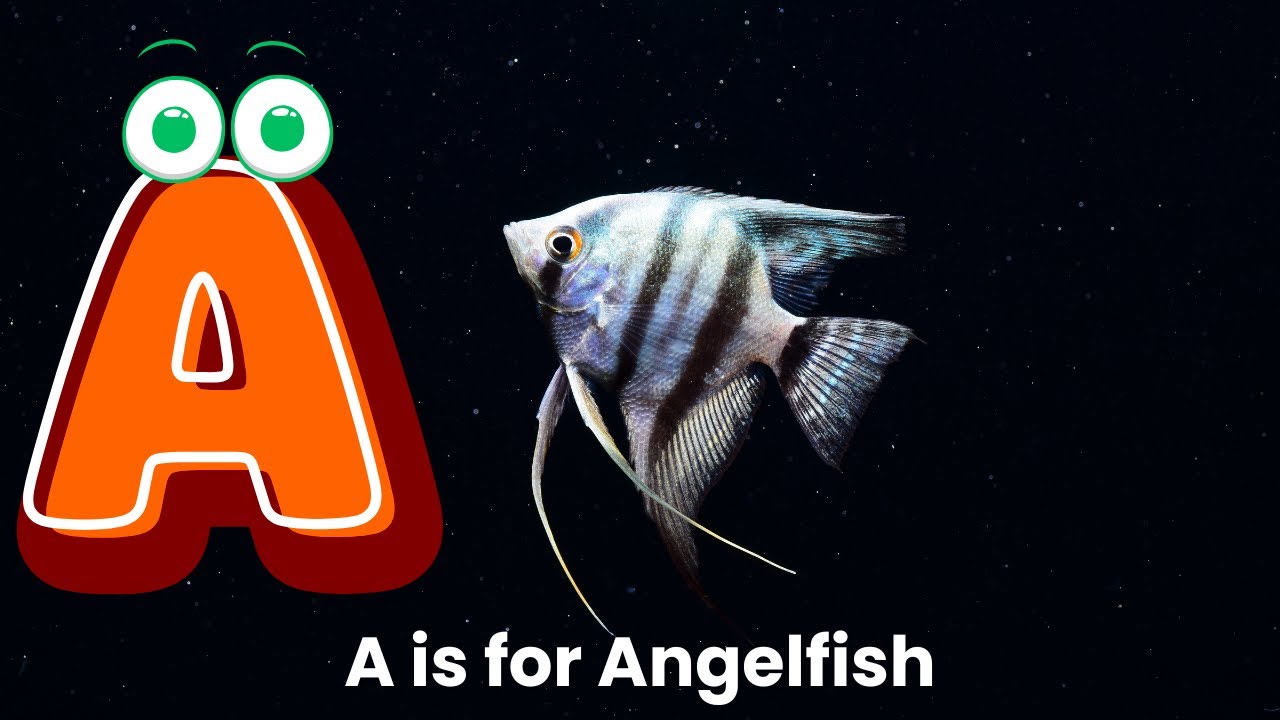 ABC Fish Song for Kids | A to Z Sea Creatures & Aquarium Fish Rhymes ...