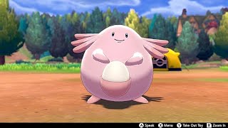 Chansey In Camp - Pokemon Sword & Shield