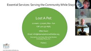 How To Take Care of Your Pet During COVID 19