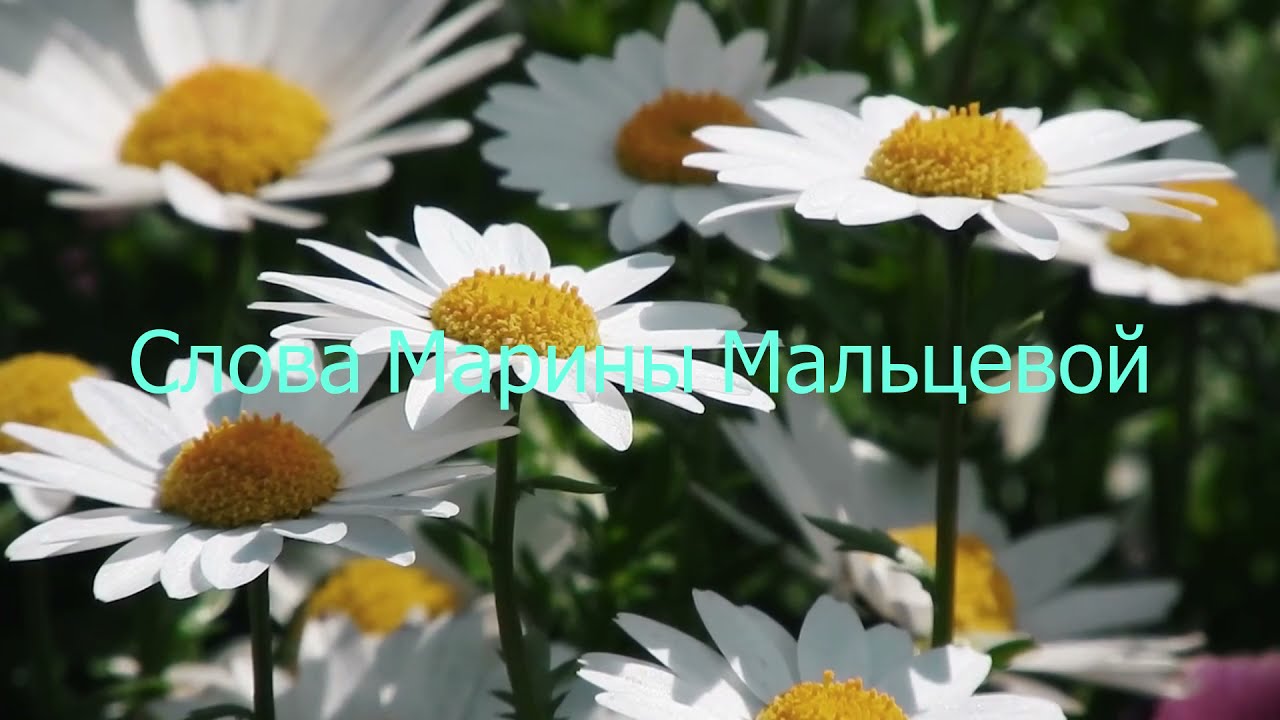 Шансон 2021| Андрей  Град. Приглашаю вас послушать  новые песни года 2021