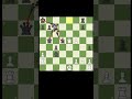Crazy Horse Fork #chess #chessmemes #checkmate