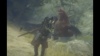 Chicken Catch! Dragon&#39;s Dogma 2 PS5