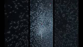 Nadhive Rashmika Mandanna The Girl Friend