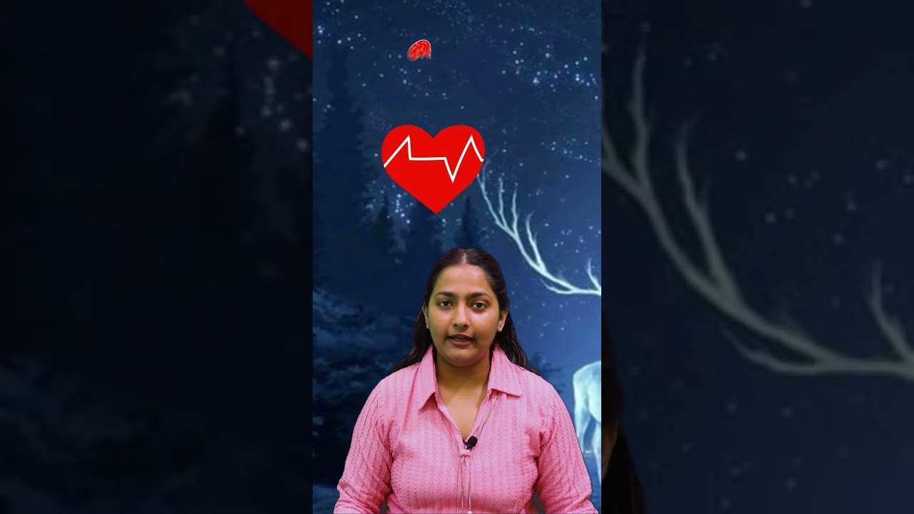 Haematophobia | A-Z Phobia | Types of phobia | Fear of blood | 