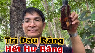 Trị Đau Răng Hết Hư Răng. PHAN HẢI Channel