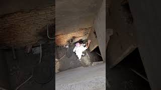 Bricks 56#foryouシ #bricks #brick #viral #trending #viralreels