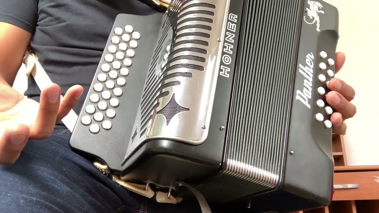 Adornos en acordeón estilo tigres del norte (acordeón de sol)