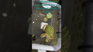 If You Use This Sound I Will Comment On Your Video