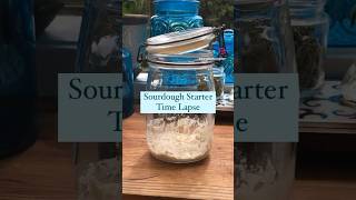 An 8 hour time lapse of sourdough starter after feeding #sourdoughstarter #timelapse #sourdough