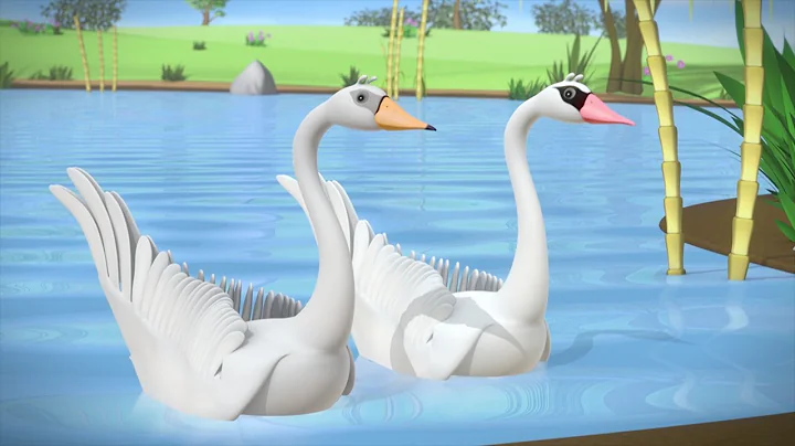 Monkey meets Swans  | Monkey See Monkey Do | Monkey Gags