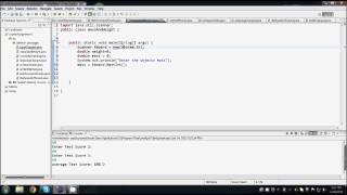 Java Programming - Mass in Newtons