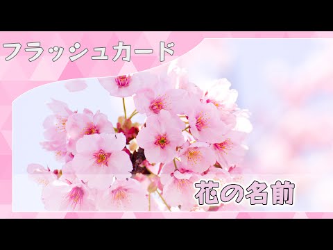 赤ちゃん 知育 いつから