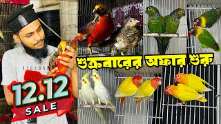 জমজমাট পাখির সেটাপ | পানির দামে পাখি | টিয়া পাখির দাম কত? | ময়না পাখি কথা বলে | যে অফার কেউ দিবেনা।