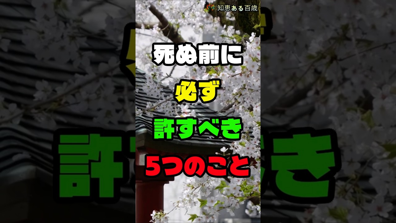 死ぬ前に必ず許すべき5つのこと #名言 #生き方 #shorts #シニアライフ #人間関係 #人生の知恵